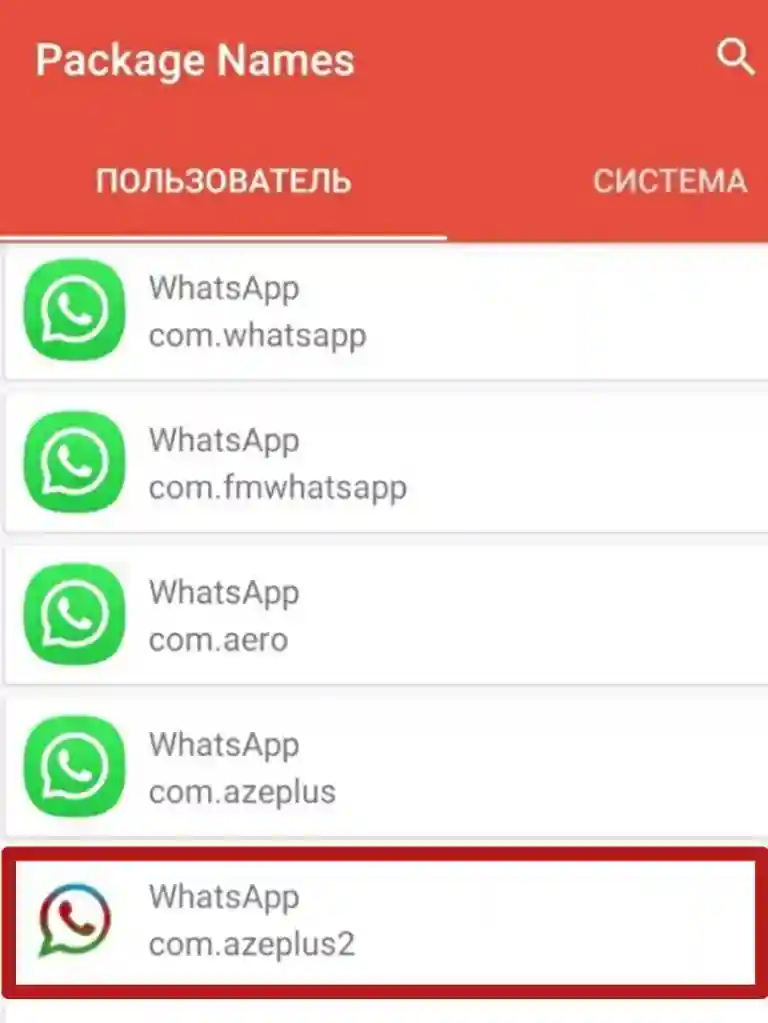 WhatsApp Plus Paket Adı